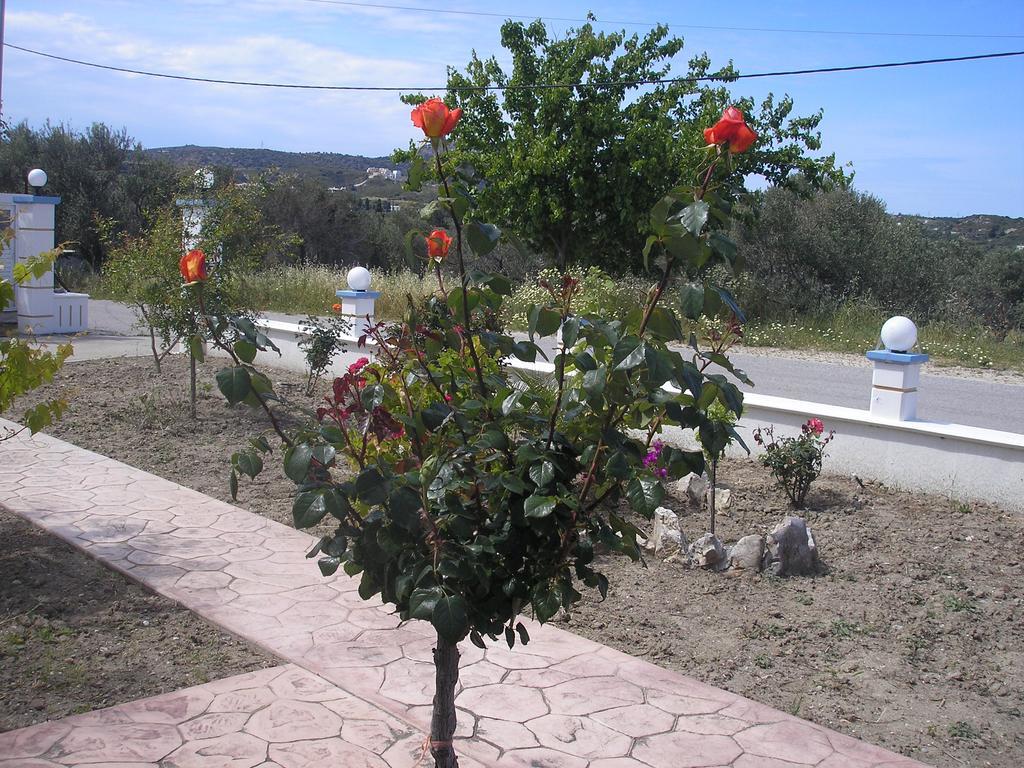Nephele Apartments Faliraki Exteriér fotografie